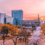 Skyline-travel-korea-06